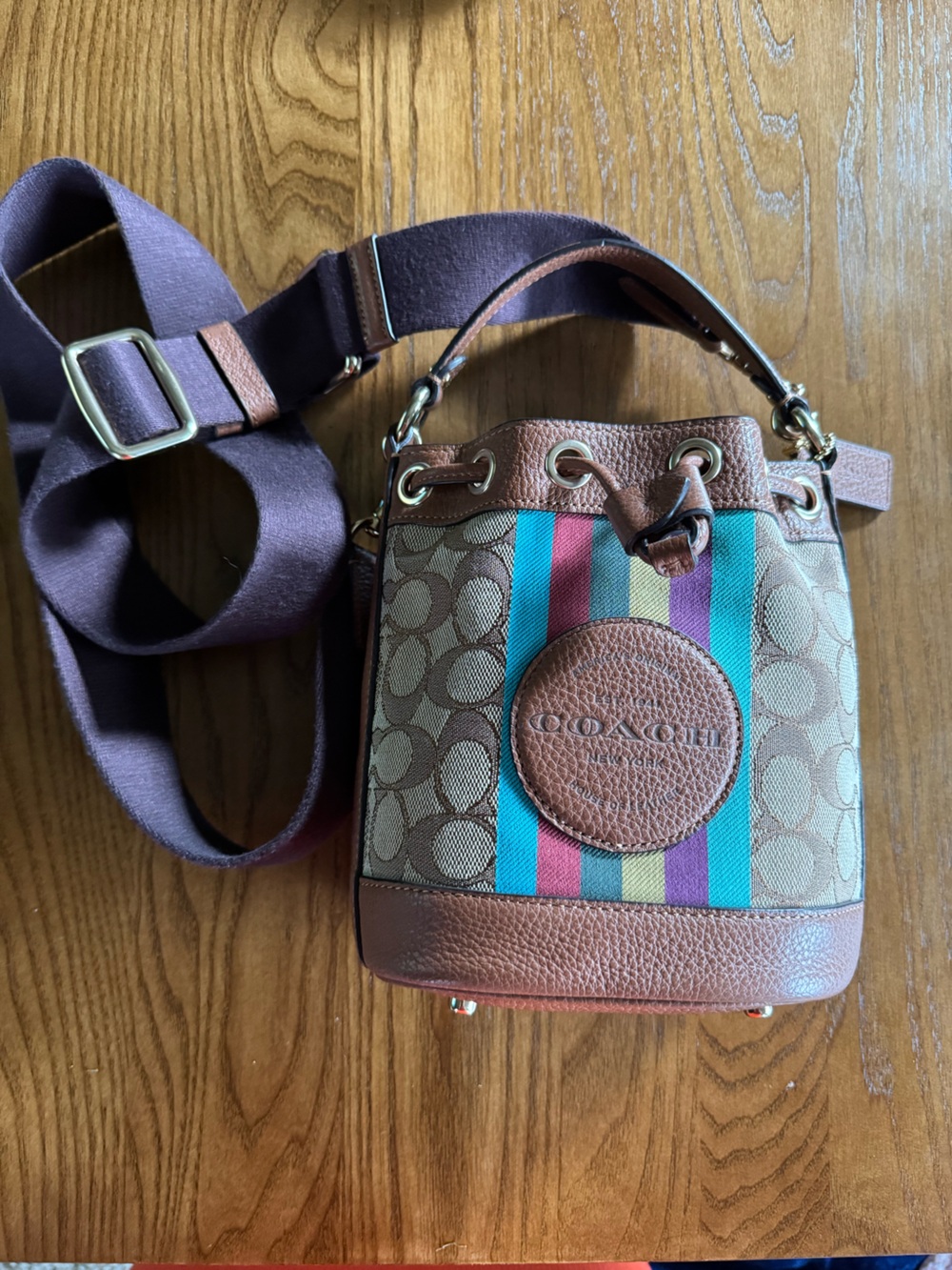 Coach Dempsey Signature Stripe Bucket Bag in Brown with Multicolor Stripe - Picture 2 of 15